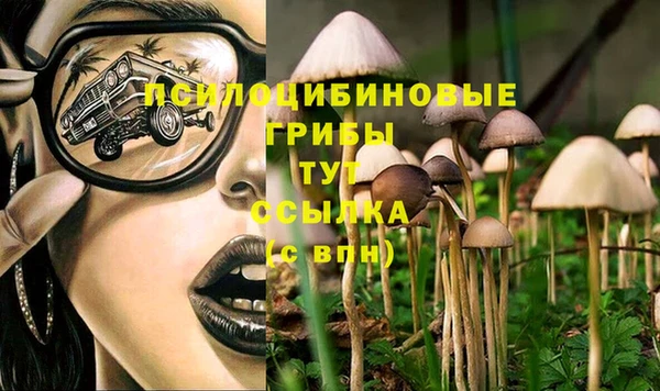 ПСИЛОЦИБИНОВЫЕ ГРИБЫ Горнозаводск