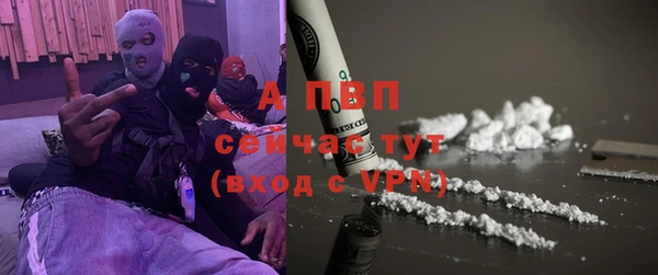 ПСИЛОЦИБИНОВЫЕ ГРИБЫ Горнозаводск