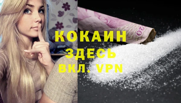 шишки Ладушкин