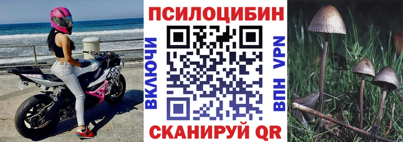Галлюциногенные грибы Psilocybine cubensis  где продают   omg зеркало  Дюртюли 