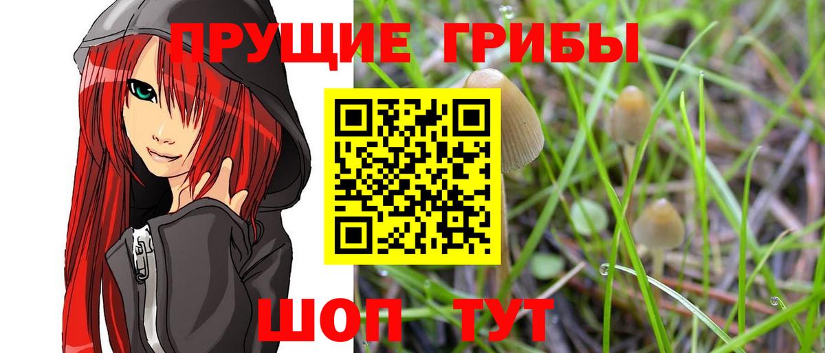 Галлюциногенные грибы GOLDEN TEACHER  Дюртюли 