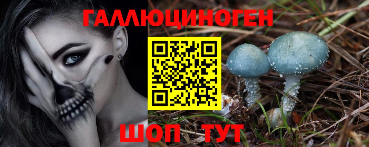 Галлюциногенные грибы Cubensis Дюртюли