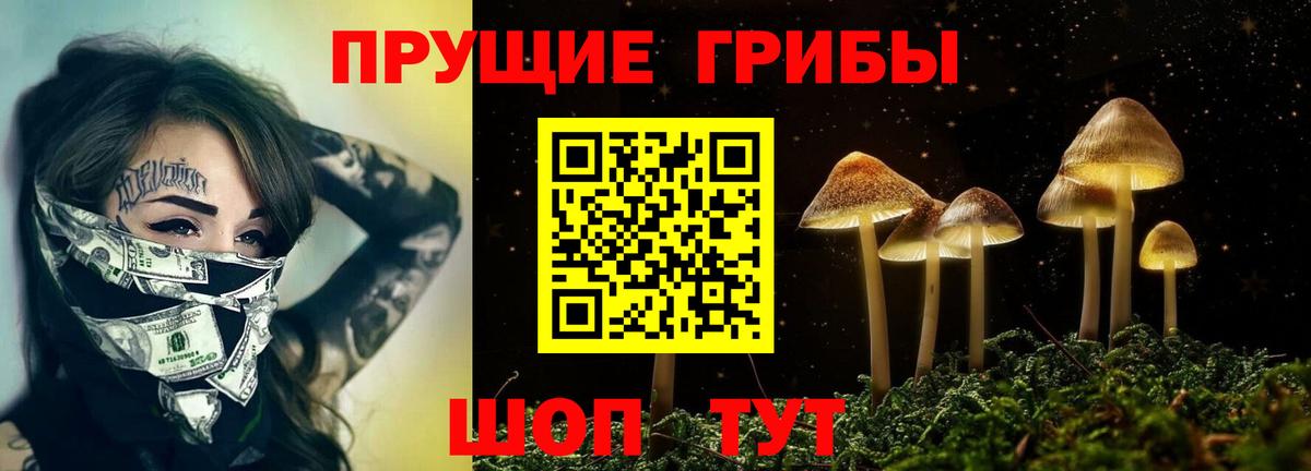 где продают   Вход с VPN  Дюртюли  Псилоцибиновые грибы Cubensis 