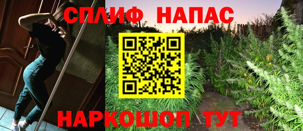 Бошки Шишки сатива Дюртюли